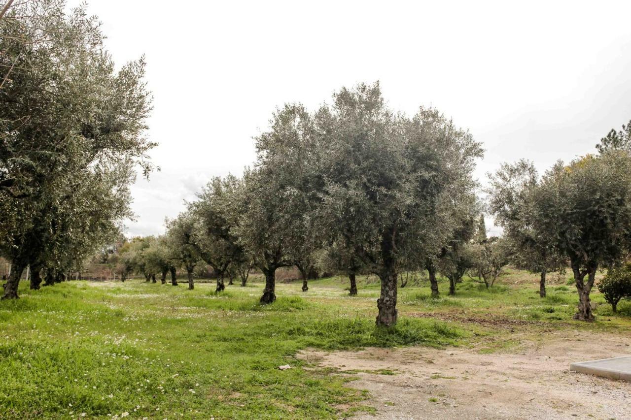 Penzion Quinta Chao Do Nabal Belmonte  Exteriér fotografie